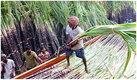 கோப்புப் படம்