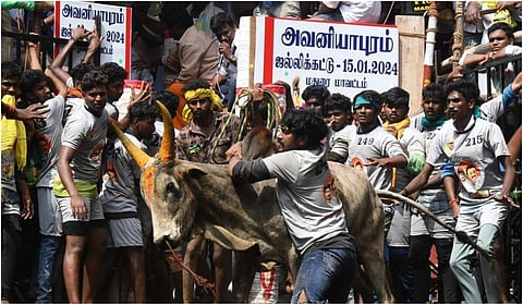 கோப்புப்படம்
