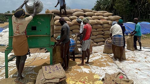 தமிழ்நாட்டில் நேரடி நெல் கொள்முதல் நிலையங்களை உடனடியாக திறக்க வேண்டும்: ராமதாஸ்