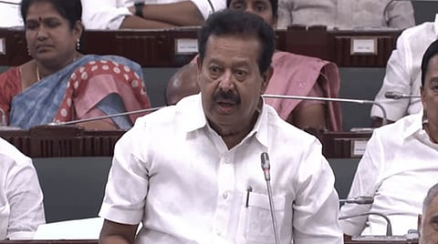 வனப்பகுதியை விட்டு 3 கி.மீ.க்கு அப்பால் வரும் காட்டு பன்றிகளை சுடுவதற்கு வனத்துறைக்கு அதிகாரம்: அமைச்சர் பொன்முடி தகவல்