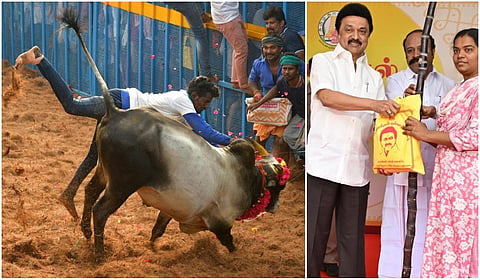 பொங்கல் 2025: ஜல்லிக்கட்டு முதல் சங்கமம்-நம்ம ஊரு திருவிழா வரை - அரசின் அறிவிப்புகள் என்னென்ன?