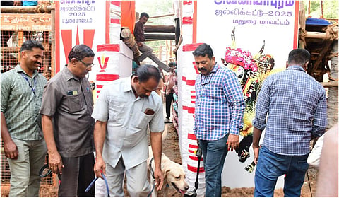 மதுரை அவனியாபுரம் வாடிவாசல் பகுதியில் மோப்ப நாய் உதவியுடன் போலீஸார் சோதனை மேற்கொண்டனர் | படம்: எஸ்.கிருஷ்ணமூர்த்தி