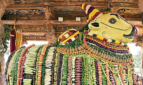 படம்: ஆர்.வெங்கடேஷ்