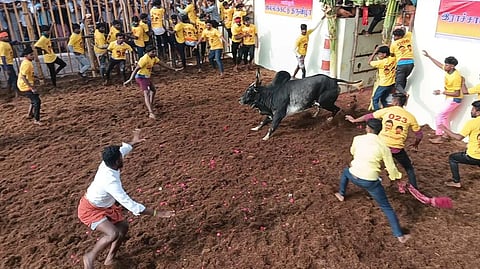 கரூர் ஆர்டிமலையில் ஜல்லிக்கட்டு விறுவிறுப்பு: 780 காளைகள், 480 மாடுபிடி வீரர்கள் பங்கேற்பு