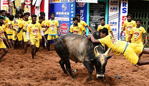 படம்; எஸ் .கிருஷ்ணமூர்த்தி