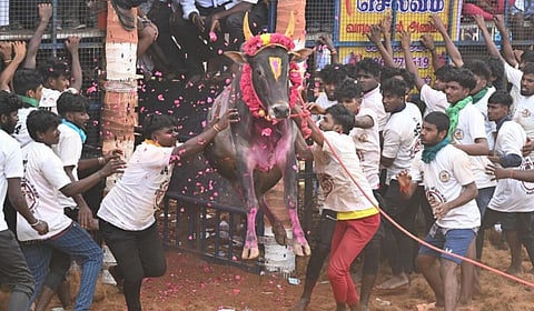 இடம்: சேலம், கூலமேடு | படம்: இ.லக்‌ஷ்மி நாராயணன்