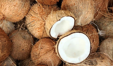 குமரியில் தேங்காய் ரூ.58-க்கு கொள்முதல் - விலை ஏற்றத்தால் விவசாயிகள் மகிழ்ச்சி