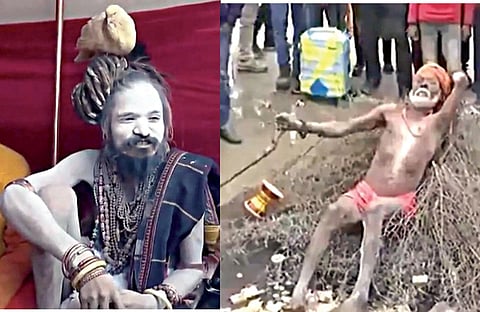 பிரயாக்ராஜில் தலையில் புறா, முள்படுக்கையுடன் மகா கும்பமேளாவில் பக்தர்களை கவரும் பாபாக்கள்