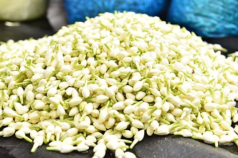 மதுரை மல்லிகைப் பூ விலையில் உச்சம்: கிலோ ரூ.4,200-க்கு விற்பனை 