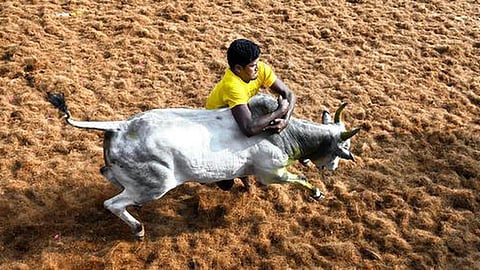 கோப்புப் படம்