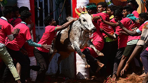படங்கள்: எஸ்.கிருஷ்ணமூர்த்தி