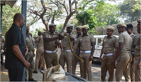 வனத்துறை சார்பில் வண்டலூர் உயிரியல் பூங்காவில் தீயணைப்பு வீரர்களுக்கு பாம்பு பிடிப்பது குறித்த செயல்முறை விளக்கம் அளிக்கப்பட்டது.