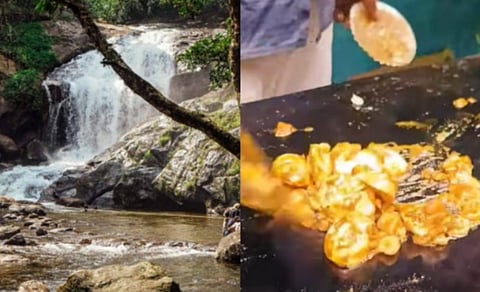 உணவு சுற்றுலா: லக்கம் அருவி காடை முட்டை