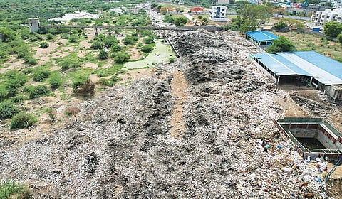 வேலூர் மாவட்ட ஆட்சியர் அலுவலகம் அருகே பாலாறு படுகையில் மலை போல் குவிந்துள்ள குப்பையால் துர்நாற்றம் வீசுகிறது என பொதுமக்கள் குற்றம் சாட்டுகின்றனர்.