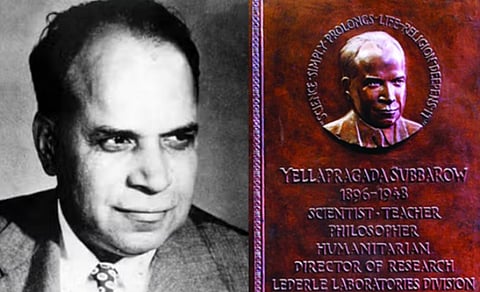 காலம் மறந்த அறிவியலாளர் எல்லப்பிரகதா சுப்பாராவ் - அத்தியாயம் 3