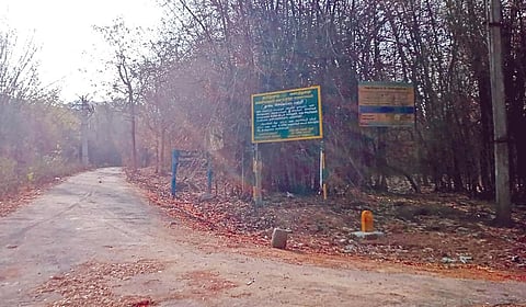தடிக்காரன்கோணம் - கீரிப்பாறை சாலையில் உள்ள  கூவக்காடுக்கு செல்லும் கொட்டப்பாறை மலைகிராம சாலையில் மின்வசதி இன்றி இருள்சூழ்ந்து காணப்படுகிறது.
