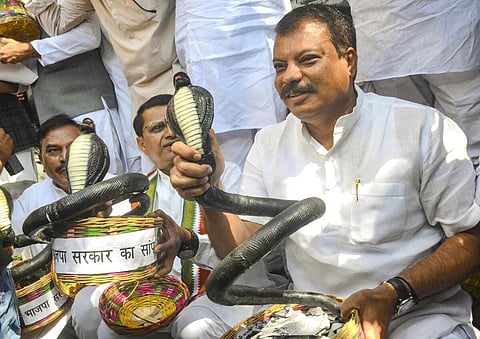 ம.பி அரசுக்கு எதிராக காங். எம்எல்ஏக்கள் பிளாஸ்டிக் பாம்புகளுடன் நூதன போராட்டம்!