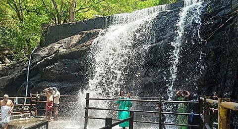 தொடர் மழையினால் சுருளி அருவிக்கு நீர்வரத்து தொடங்கி உள்ளது. நேற்று கூட்டம் இல்லாத நிலையில் அதிக நேரம் குளித்து மகிழ்ந்த சுற்றுலா பயணிகள். | படம்:என்.கணேஷ்ராஜ்.