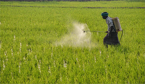 தமிழக வேளாண் பட்ஜெட் 2025-ல் விவசாயிகள் கடன் சார்ந்த அறிவிப்புகள் என்னென்ன?