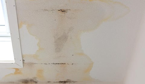 கட்டிடங்களில் நீர்க்கசிவு - எங்கு தவறுகிறோம்?