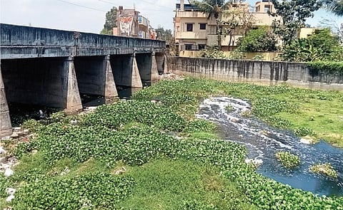 கழிவுநீர் ஓடையாக மாறிவரும் புழல் ஏரி உபரி நீர் கால்வாய்!
