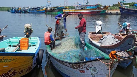 புதுச்சேரி, காரைக்காலில் ஏப்.15 முதல் 61 நாட்களுக்கு மீன்பிடி தடைக்காலம்: அரசு அறிவிப்பு