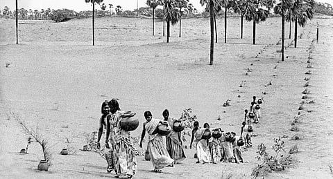 கிராம நிர்வாகம் - வரிவிதிப்பு முறைகள்: நம்ப முடியாத எனது நாட்குறிப்புகள் | அத்தியாயம் 15