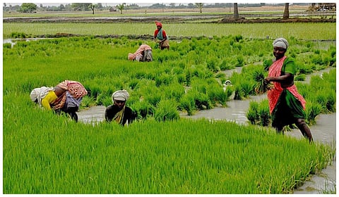 கோப்புப் படம்