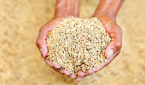 குவிண்டால் நெல்லுக்கு ரூ.2,500 - விவசாயிகள் பயனடைவார்களா?