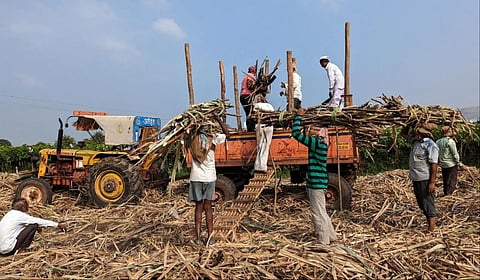கரும்பு விவசாயிகளுக்கான ஆதாய விலை - மத்திய அமைச்சரவை ஒப்புதல்