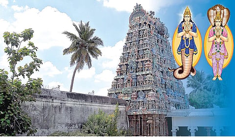 ராகு-கேது தோஷம் நீக்கும் திருவையாறு ஐயாறப்பர்