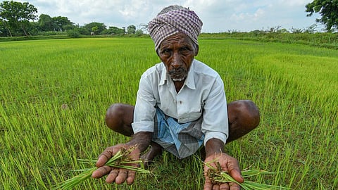 வேளாண் வளர்ச்சி -0.09% ஆக வீழ்ந்ததுதான் திராவிட மாடல் ஆட்சியின் சாதனையா? - அன்புமணி
