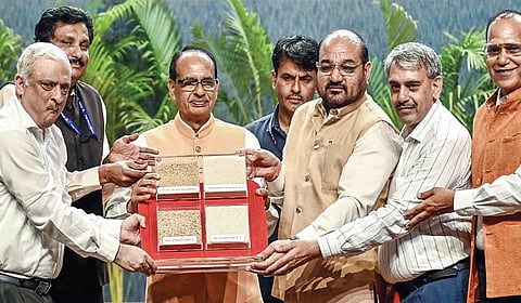 புதிய நெல் பயிர்த் திட்டம் வெற்றி பெறுமா?