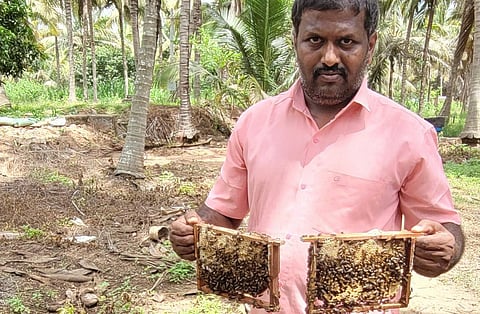 மகசூல் முதல் மருத்துவம் வரை: தேனீக்கள் இன்றி அமையாது உலகு! 