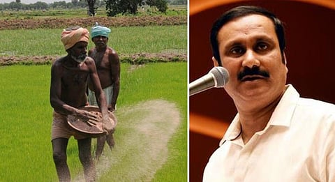 குறுவை சாகுபடியை ஊக்குவிக்க ஏக்கருக்கு ரூ.5,000 வீதம் மானியம்: அரசுக்கு அன்புமணி வலியுறுத்தல்