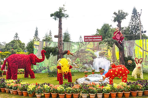 48-வது கோடை விழாவையொட்டி ஏற்காட்டில் மலர் கண்காட்சி தொடக்கம்