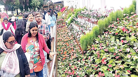 ஊட்டி தாவரவியல் பூங்காவில் குவிந்த சுற்றுலா பயணிகள் மலர்களைக் கண்டு ரசித்தனர். | படம்: ஆர்.டி.சிவசங்கர் |