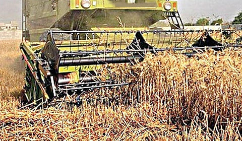 தொழிலுக்கு உதவும் 7 அறுவடை உத்திகள்