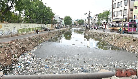 படம்: எஸ்.கிருஷ்ணமூர்த்தி