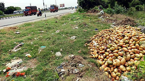 கிருஷ்ணகிரி மாவட்டத்தில் போதிய விலை கிடைக்காததால், அறுவடை செய்யப்பட்ட மாங்காய்கள் குந்தாரப்பள்ளியில் சாலையோரம் கொட்டப்பட்டுள்ளது.