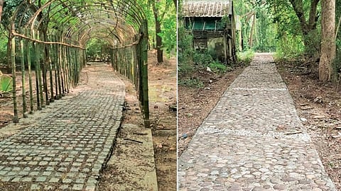 புதுச்சேரி நகர பகுதியில் சுற்றுச்சூழல் சுற்றுலா திட்டம் - என்ன சிறப்பு?