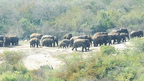 கோப்புப் படம்