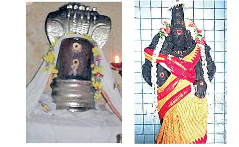 பிரம்மஹத்தி தோஷம் நீக்கும் திருத்தியமலை ஏகபுஷ்ப பிரியநாதர் | ஞாயிறு தரிசனம்