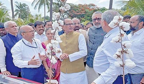 கோவையில் உள்ள கரும்பு இனப்பெருக்க நிறுவன வளாகத்தில் நேற்று பருத்தி சாகுபடி தொடர்பாக அதிகாரிகளிடம் விவரங்களைக் கேட்டறிந்த மத்திய வேளாண் துறை அமைச்சர் சிவராஜ்சிங் சவுஹான், மத்திய ஜவுளி துறை அமைச்சர் கிரிராஜ் சிங். | படம்: ஜெ.மனோகரன் |