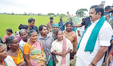 திருவாரூர் மாவட்டம் நன்னிலத்தில் நெல் வயலில் இறங்கி பிரச்சாரம் மேற்கொண்ட அதிமுக பொதுச் செயலாளர் பழனிசாமி, அங்கிருந்த விவசாயத் தொழிலாளர்களிடம் கலந்துரையாடினார்.