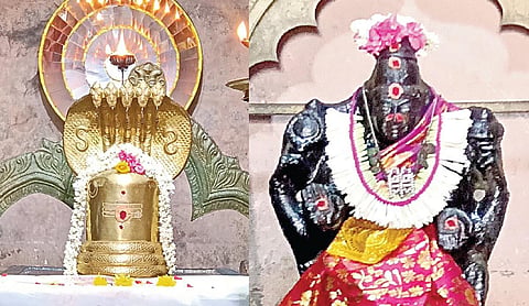 நாக தோஷம் நீக்கும் சிதம்பரம் அனந்தீஸ்வரர் | ஞாயிறு தரிசனம்