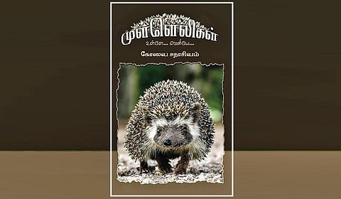 முள்ளெலி எனும் சிற்றுயிர்