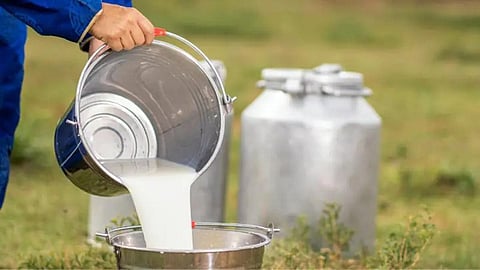 இந்தியா – அமெரிக்கா இடையே சலசலப்பை உண்டாக்கும் ‘அசைவ பால்’
