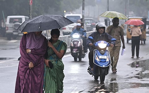 தமிழகத்தில் டெல்டா உட்பட 7 மாவட்டங்களில் நாளை கனமழை பெய்ய வாய்ப்பு