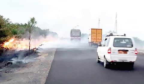 தூத்துக்குடி - மதுரை தேசிய நெடுஞ்சாலையோரம் உள்ள மரங்களில் பற்றி எரியும் தீயால் அப்பகுதியில்  புகை மண்டலம் உருவானது.